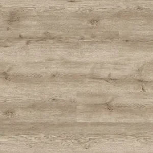 JOKA Design 555 Evolut | 909 Hazy Oak EIR - Click Sonderangebot